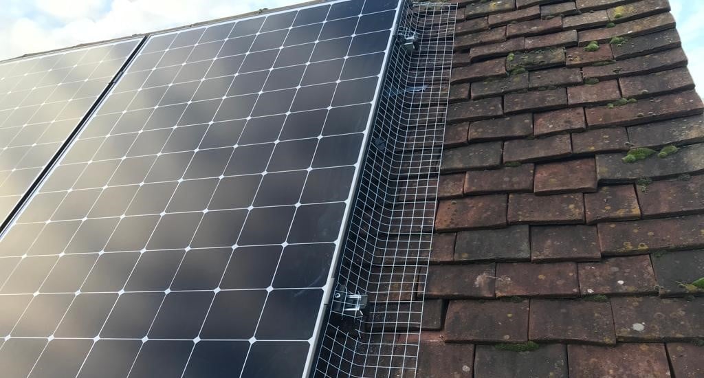 Solar Panel BirdProofing Protecting Your PV System from Pigeons